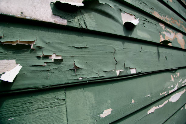 Best Hoarding Cleanup  in Bay St Louis, MS