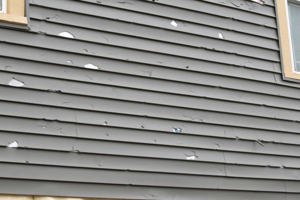Best Garage Cleanout  in Bay St Louis, MS